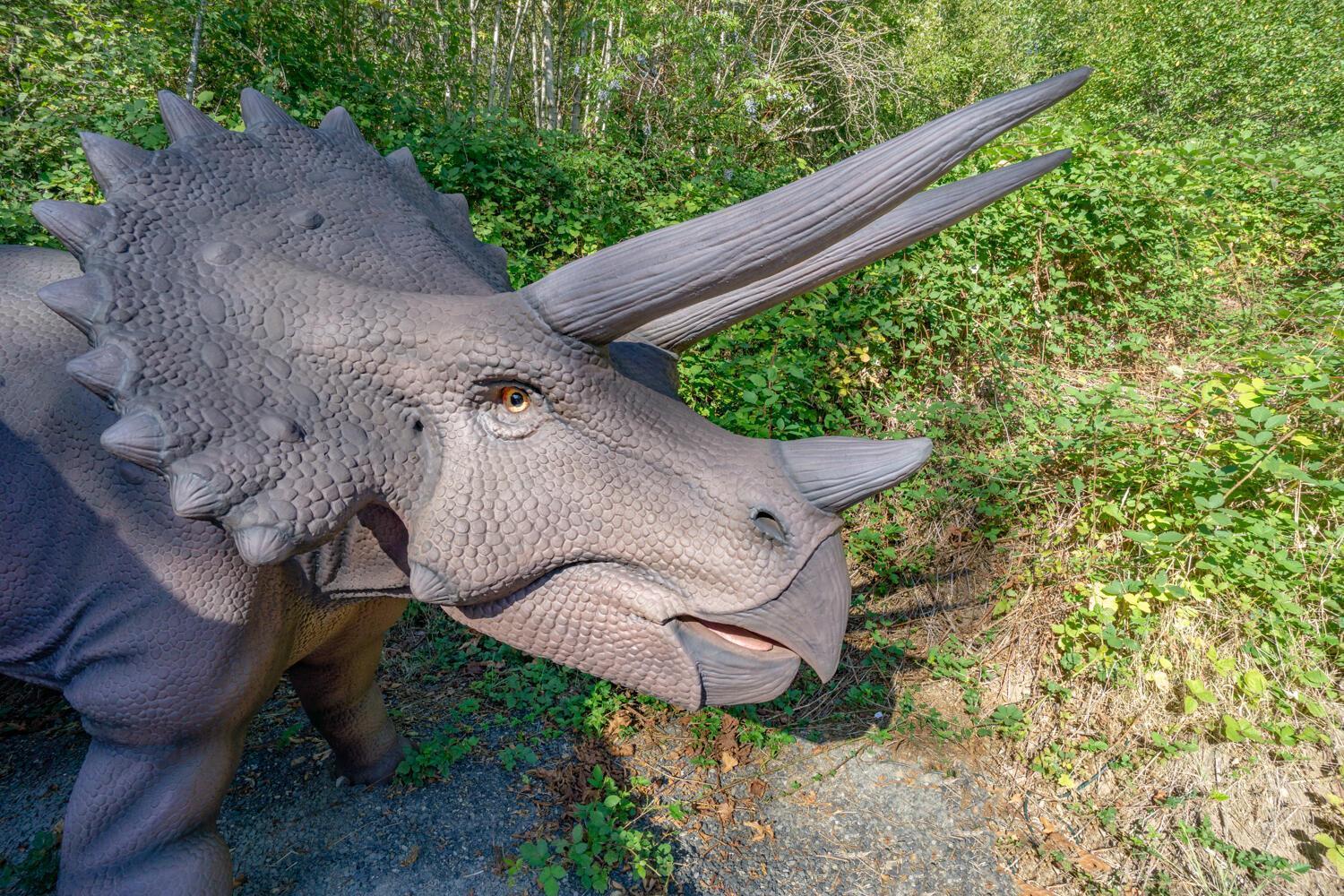 Jurassic Rebirth Out On Jul 2 - Book Your Stay Now (Adults Only) Washougal ภายนอก รูปภาพ