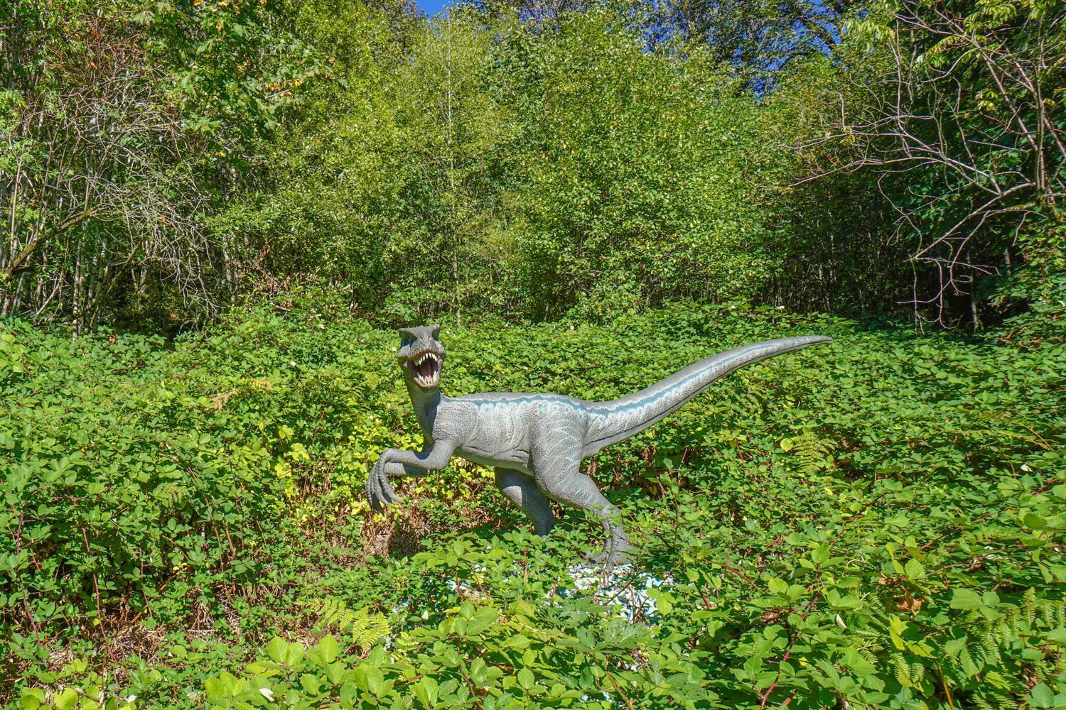 Jurassic Rebirth Out On Jul 2 - Book Your Stay Now (Adults Only) Washougal ภายนอก รูปภาพ